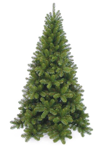 Tuscan Spruce Green