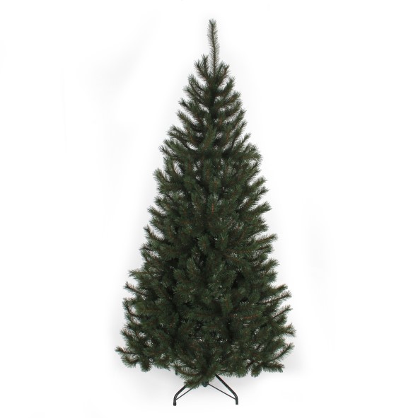 Kingston Pine