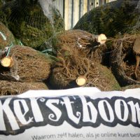 Kerstboom Bekijken6