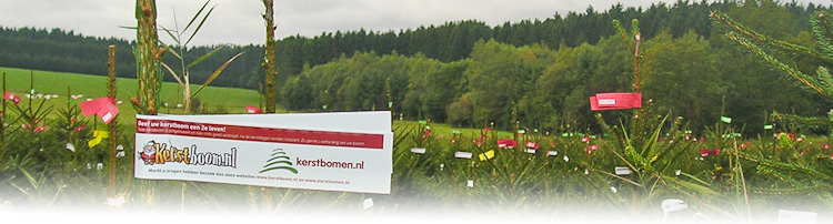 nordmann-kerstbomen