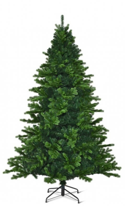 Toronto Spruce Green